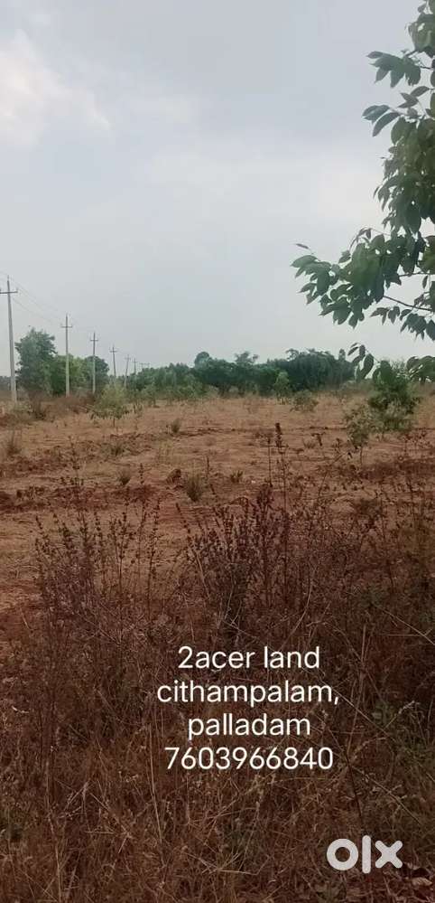 202cent call below number