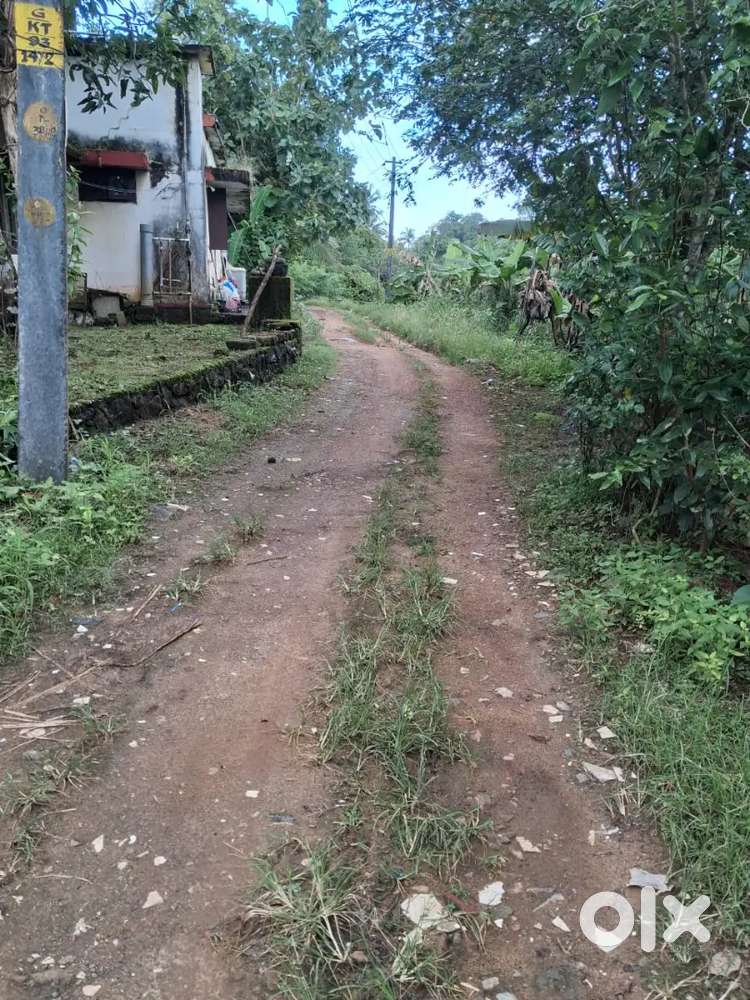 Good spot. Near kottayam town