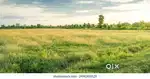 Land in Kattanam near Kayamkulam in Kerala