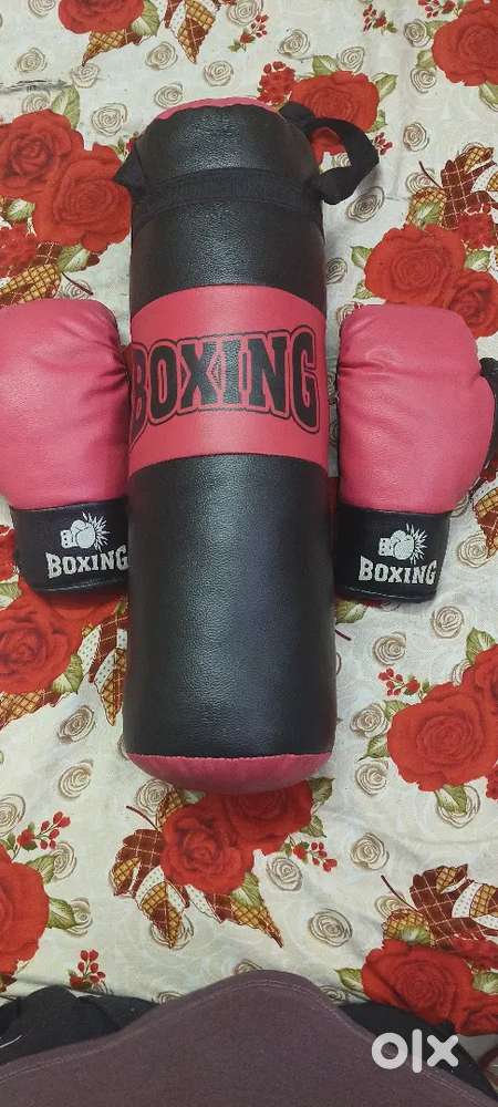Kids punching bag with gloves
