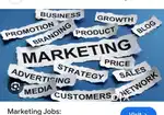 Data Collection & marketing jobs