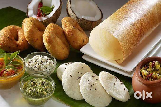 South indian dish cook requre urgent.