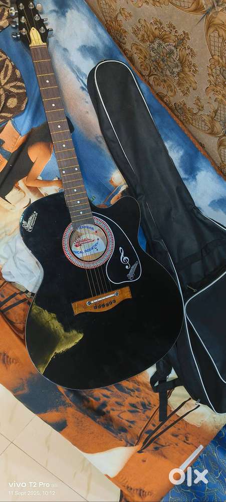 Brand new guitar of signature with cover and pices