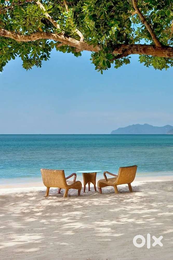 Urgently required F&B Team Members for a Beach Resort @ Varkala