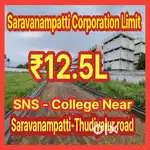 Dtcp Plots At Saravanampatti Corporation Limit 12.5L