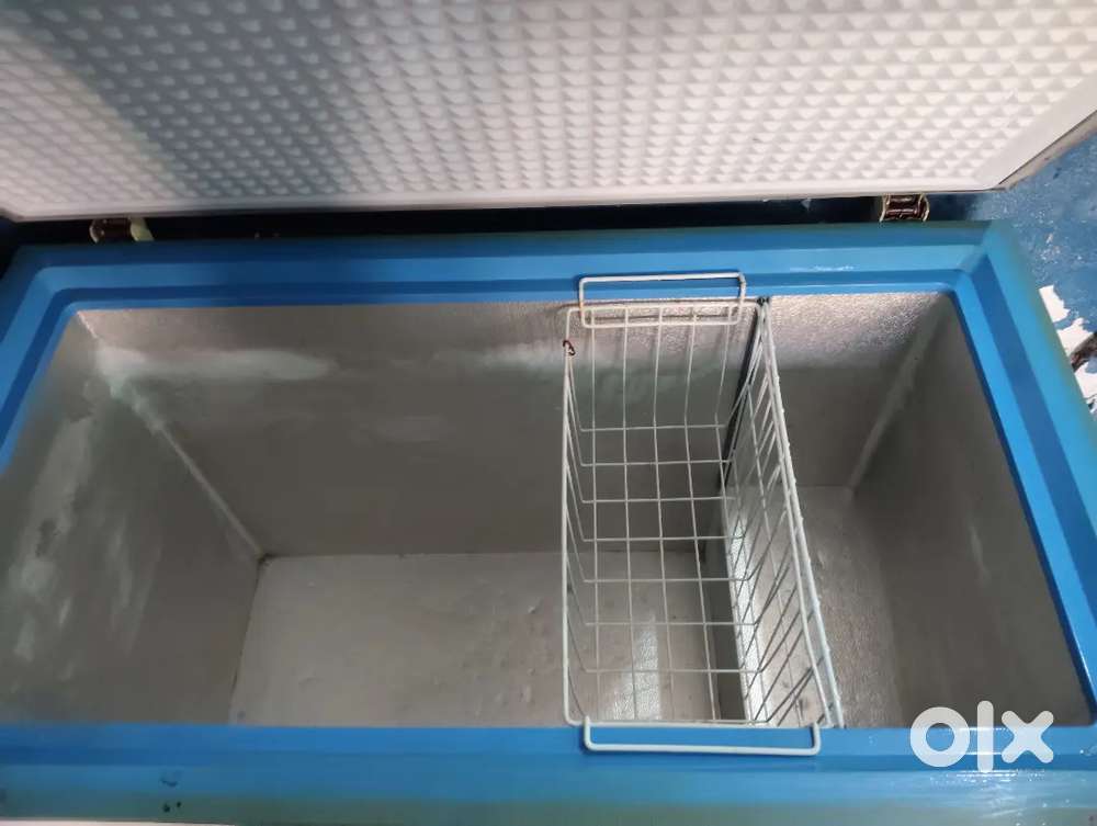 Blue Star deep freezer