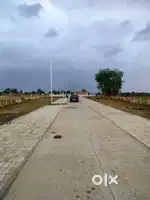 Premium plots