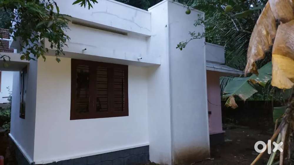 Small house rent for family or working ladies,serious parties contact
