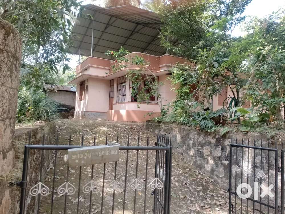 Old one storied house with roof