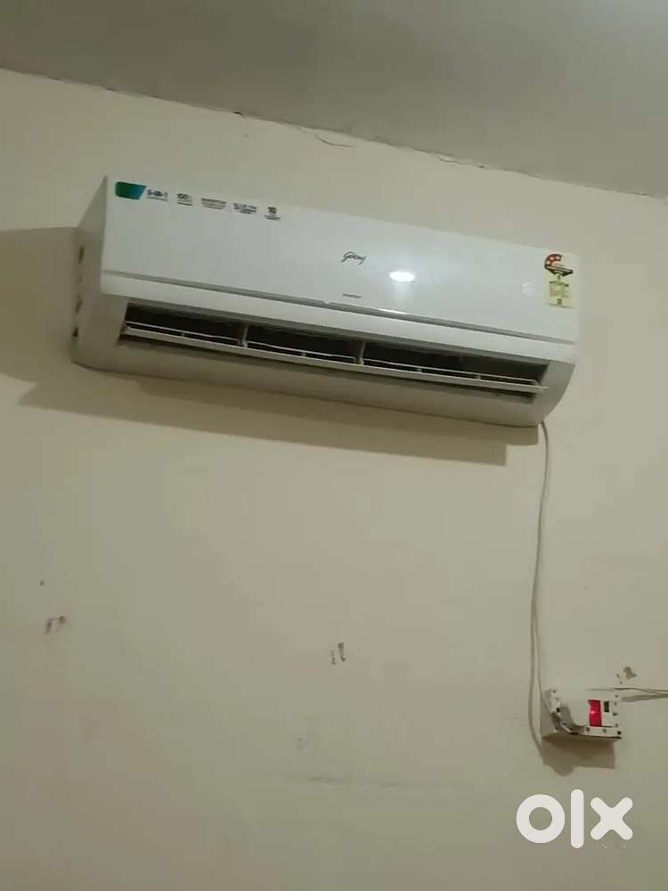 Garnier 1.5ton 4 month old