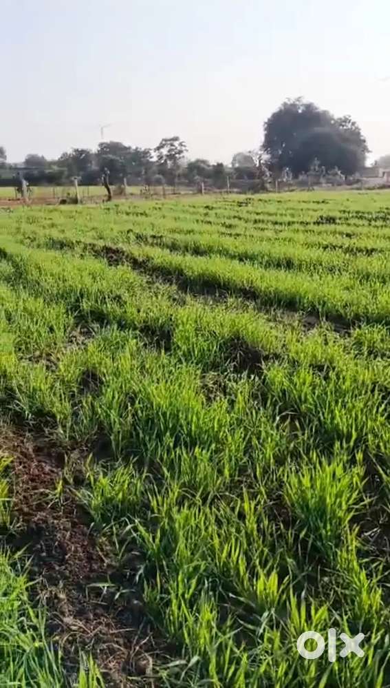 22 Bigha land for sale with borewell two roads