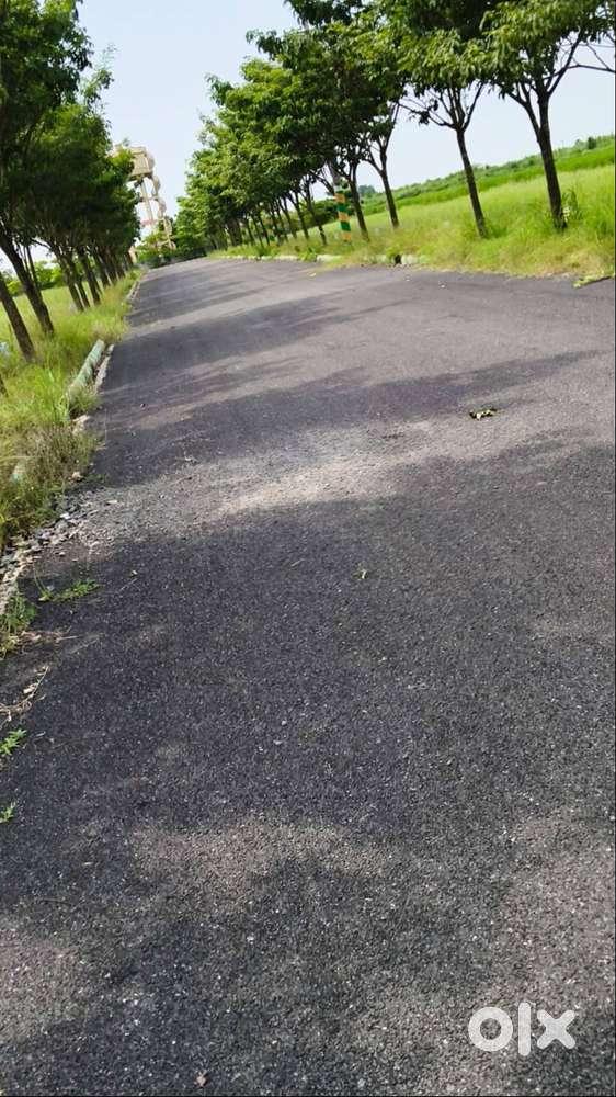Kankipadu nearby plots at chiinnaogiral 40 Minutes Drive to Machilapat