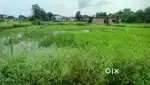 Land for Sale - KATRA  NARAYANA HOSPITAL  JAMMU  UDHAMPUR  REASI
