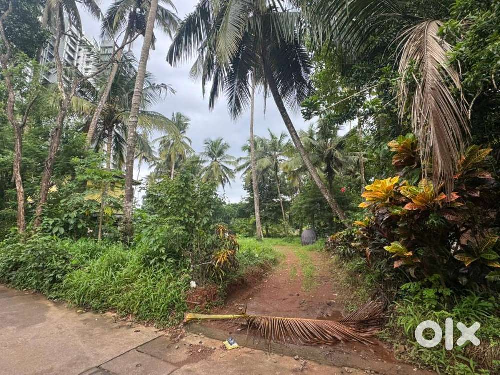16.5 Cent Land For Sale At Kadachira, Kannur (Nz)