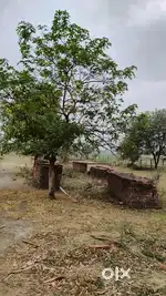 Reviera Greens Rd, Karimabad, Uttar Pradesh 226101