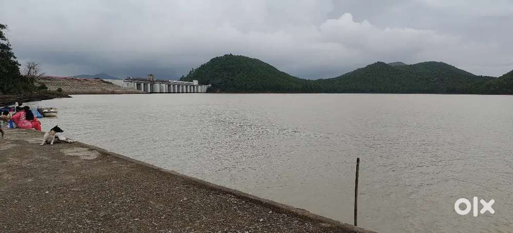 ST, General and CNT plots.