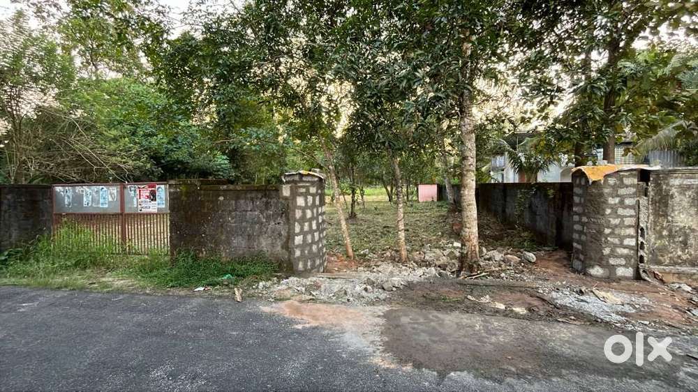 ചേർത്തലയിൽ 5 -7 സെനറ്റ് പ്ലോട്ടുകൾ വില്പനക്ക്