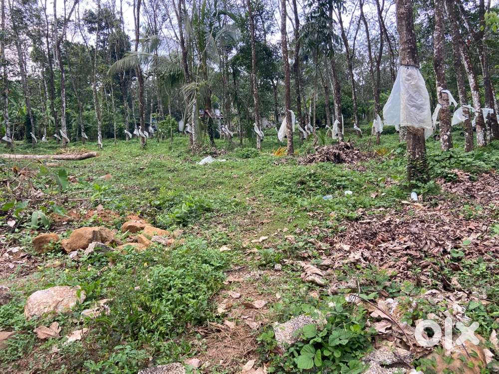 ETTUMANOOR.        VEMPALLY