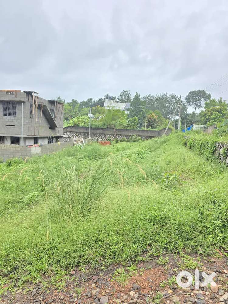 6CENT HOUSE PLOT PULLANIVILA MANGATTUKONAM