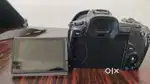 CANON EOS R