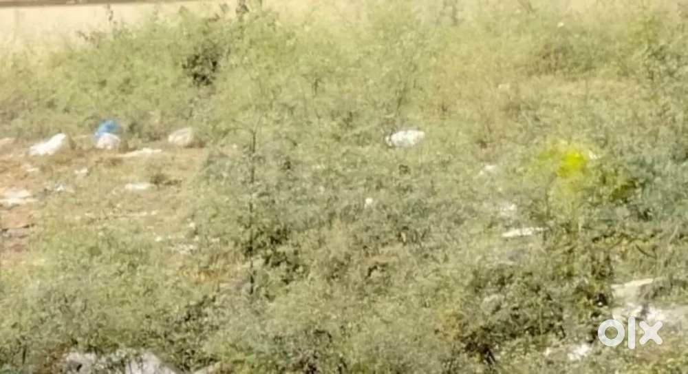 Commercial land on rental basis at vidyanagar.