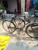 Neelam cycle 24 inchi
