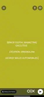 Senior Digital Marketing Executive