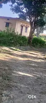 Shop Plot for sale in kainchiwala near bhauwala dehradun
