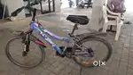 AVON Cycle