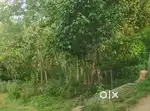 18.5cent land Road facing