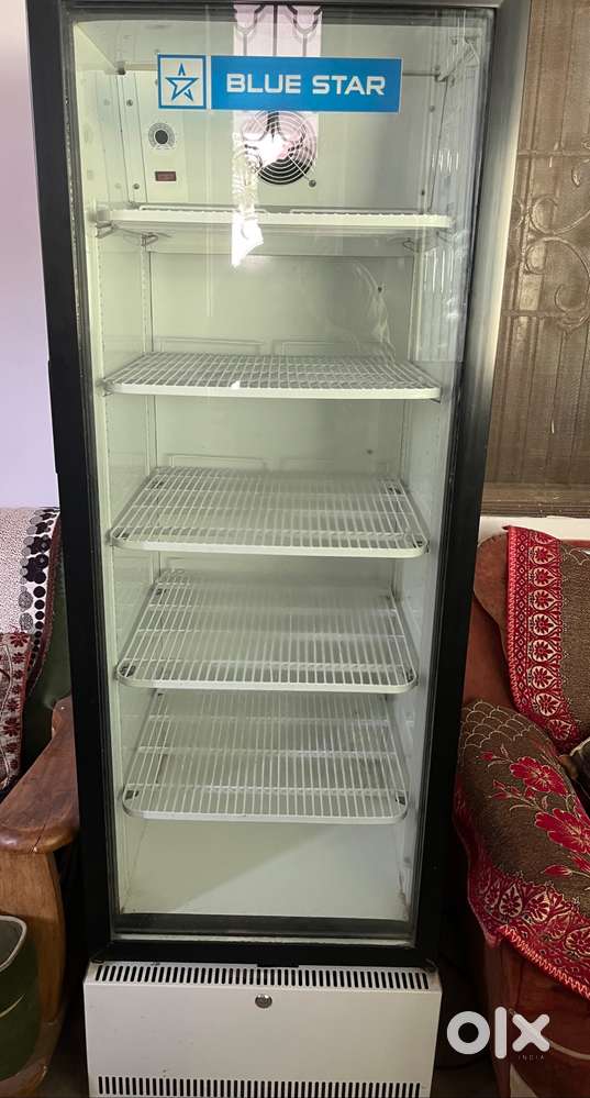 Bluestar freezer 375 ltr in good condition