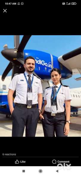 Hiring For Indigo Airline ground staff and ticket checking job in Near