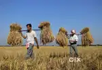 Navi mumbai plot
