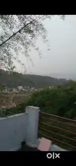213 gaaj house in jantanwala