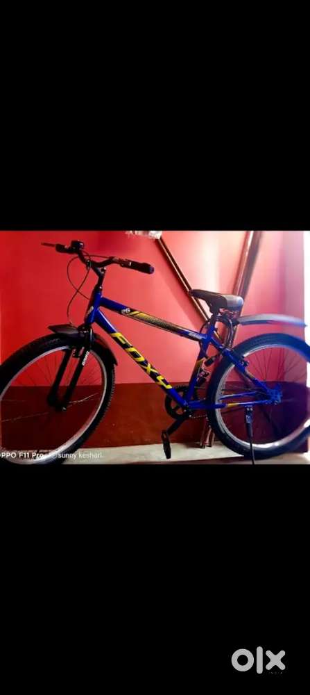 Foxy Bicycle