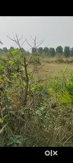 200 Sq North facing Site for sale