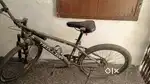 Trillion cycle for sale