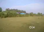 7000 sq.ft plot for sale & DTCP approved plot - venbamkam