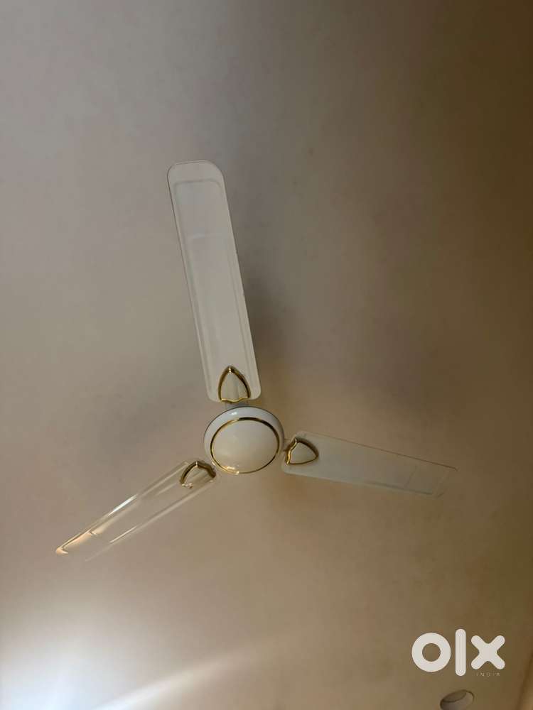 12 crompton ceiling fan
