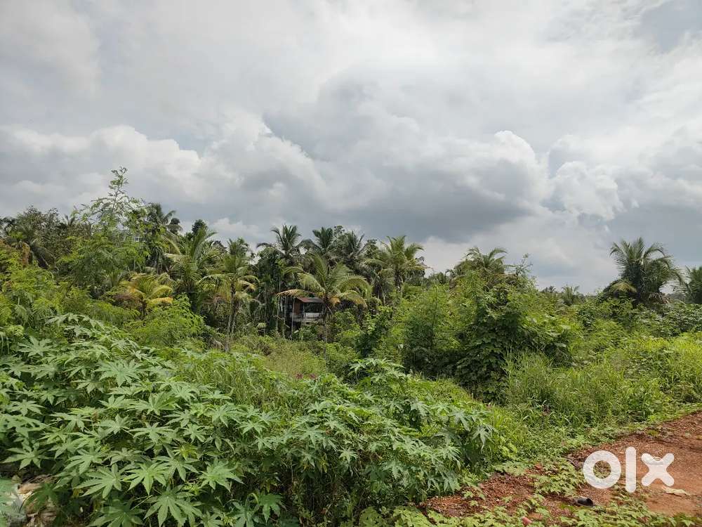 Commercial plot for sale