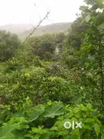 1 Acre Road & Gaonthan Touch Plot for sale at Bhor