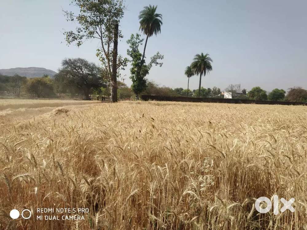 Long time rent fatality and best location City me