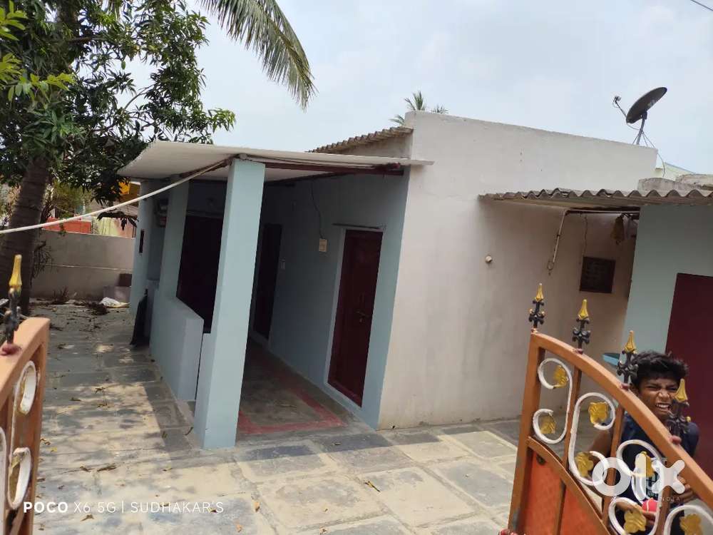 Individual house