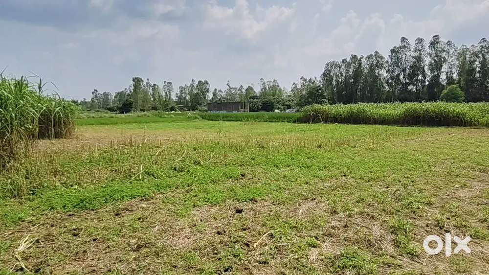 निवेश और खेती करने के लिए दोनों सबसे बेस्ट जमीन है बिकाऊ हैं