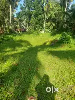 100 Cents (1 Acre) Land for Sale-Peaceful Location, Negotiable Price