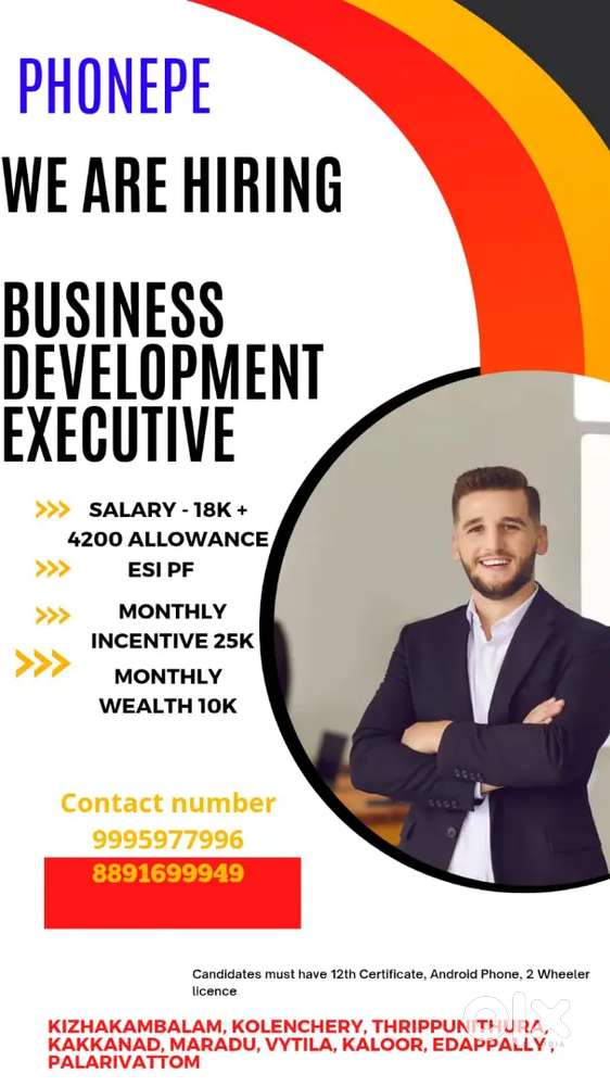 PHONEPE BUSINESS DEVELOPMENT EXECUTIVE