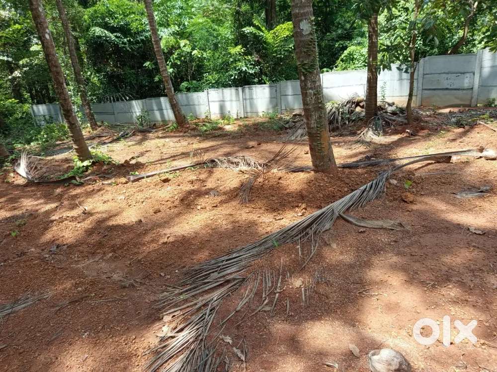 Good looking  house plot with facing road