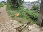 Jaka ban die noh