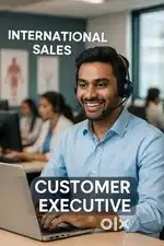 Customer sales executive