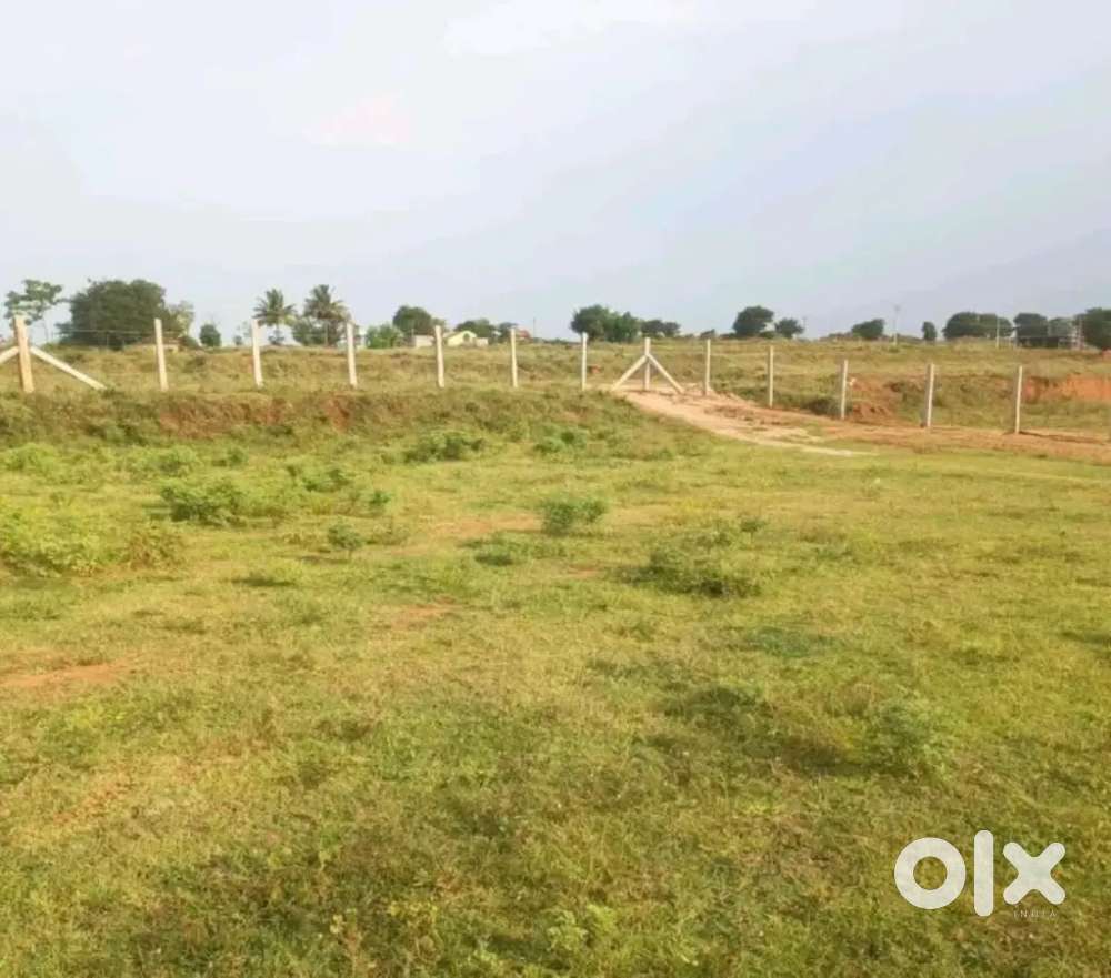 House plot selling between thuraiyur to authur road.